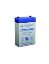 Lcr6v2.4p alexander replacement sla battery 6v 2.8 ah