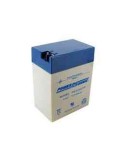 100001 all chloride replacement sla battery 6v 14 ah