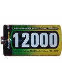 D 12000 mah nimh accupower rechargeable battery
