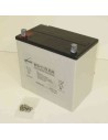 Adaptive driving systems model 14 scooter/ebike battery (2) 12v 55ah